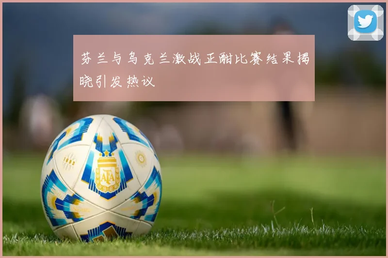 芬兰与乌克兰激战正酣比赛结果揭晓引发热议