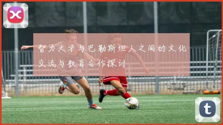 智力大学与巴勒斯坦人之间的文化交流与教育合作探讨