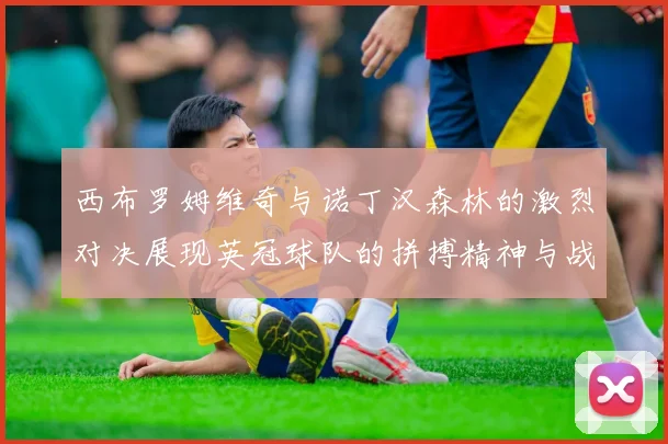 西布罗姆维奇与诺丁汉森林的激烈对决展现英冠球队的拼搏精神与战术较量