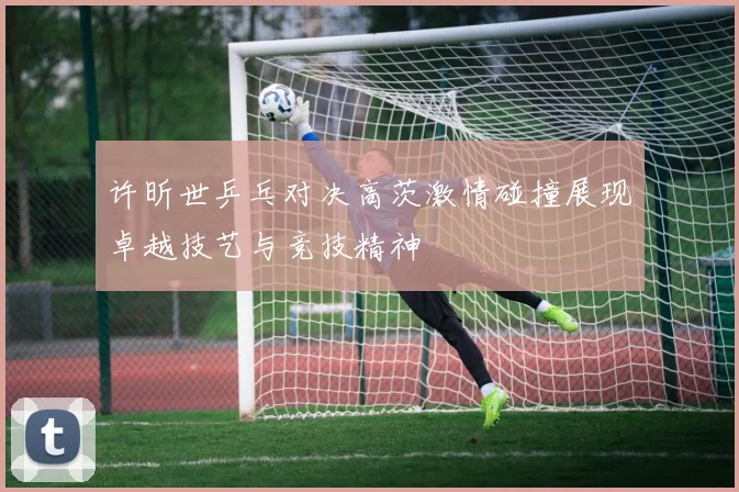 许昕世乒乓对决高茨激情碰撞展现卓越技艺与竞技精神