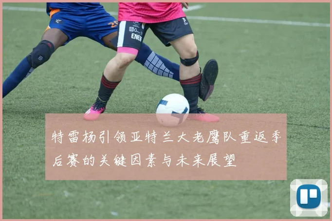 特雷杨引领亚特兰大老鹰队重返季后赛的关键因素与未来展望