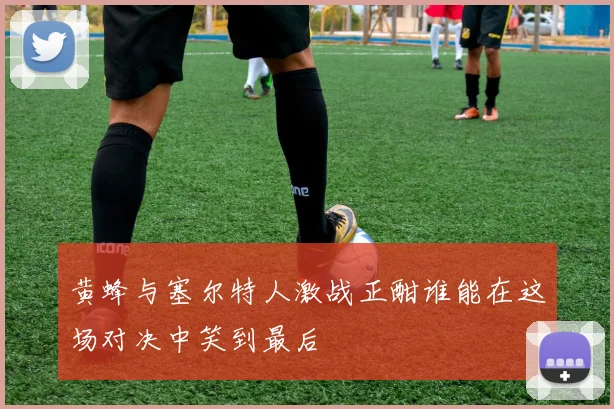 黄蜂与塞尔特人激战正酣谁能在这场对决中笑到最后