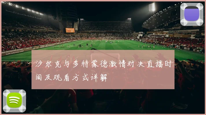 沙尔克与多特蒙德激情对决直播时间及观看方式详解